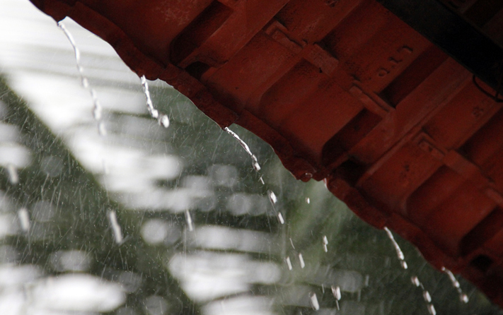 monsoon in india - Rain Drops